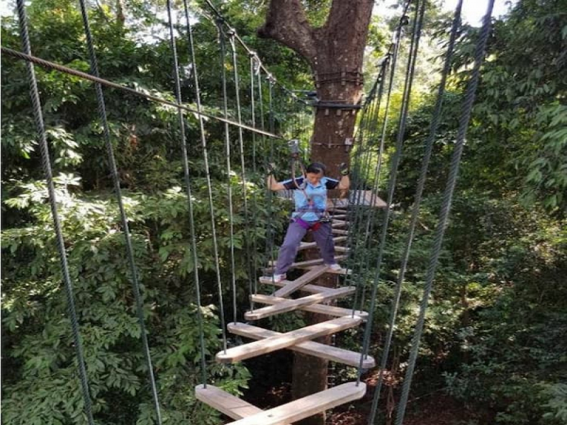 Woman walking on zigzag plank bridge at Skytrex Adventure Langkawi
