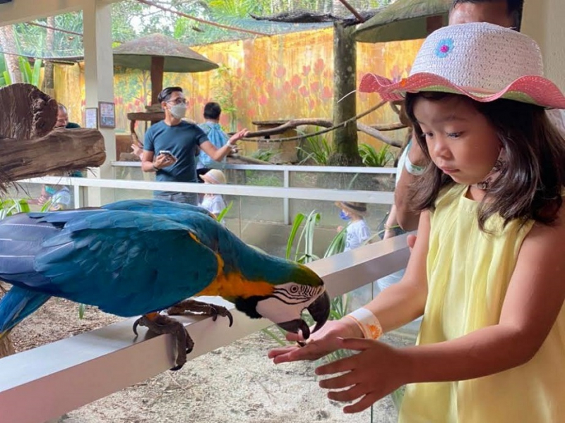 Children feeding macaw at Wildlife Park Langkawi