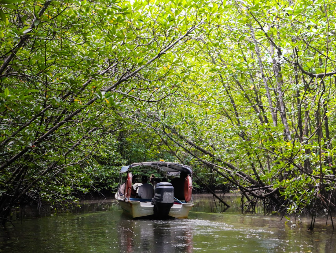 Kubang Badak BioGeo Trail Langkawi Booking Online